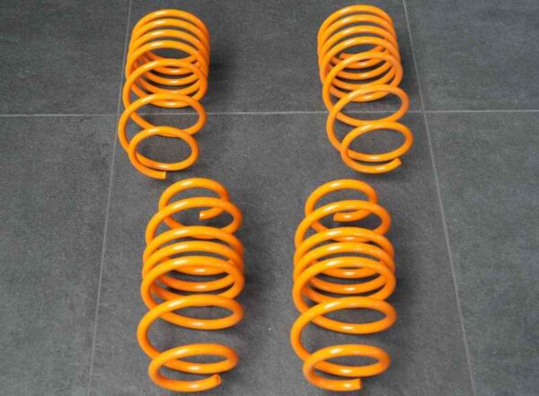 HAMANN Range Rover Evoque Sport Springs