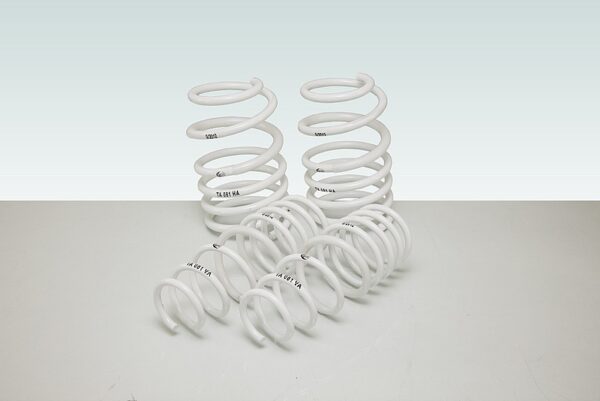 TECHART  Spring Set for Porsche  Cayman/Boxster 981