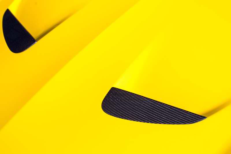 Novitec Ferrari California T Insert for Engine Bonnet