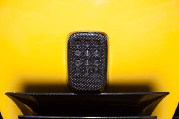 Novitec Ferrari F12 Carbon Rear Fog Light Cover