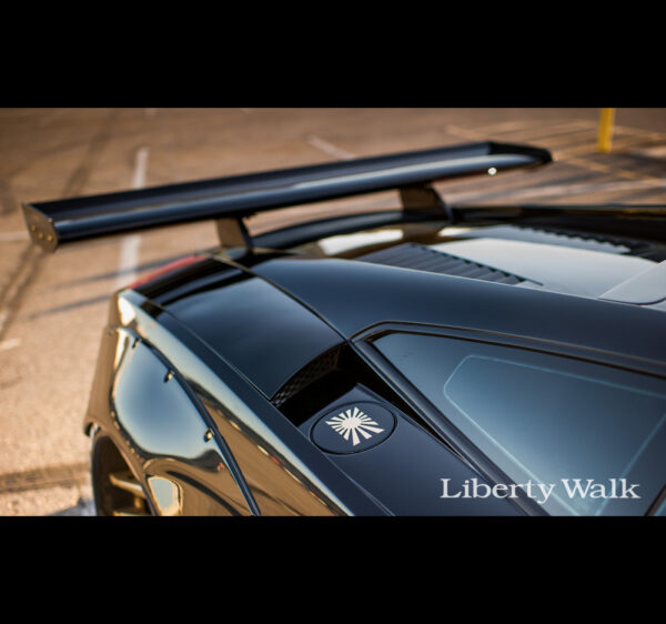 Liberty Walk/LB Performance Gallardo Rear Wing Ver.1 [CFRP]