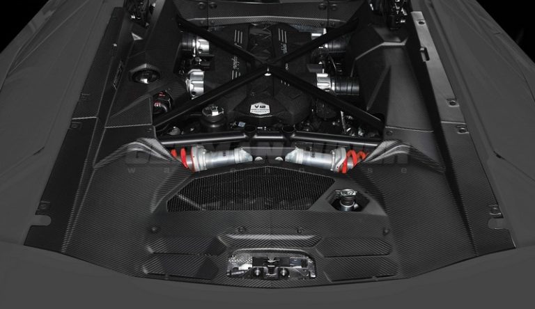 DMC Carbon Fiber Engine Cover for Lamborghini Aventador