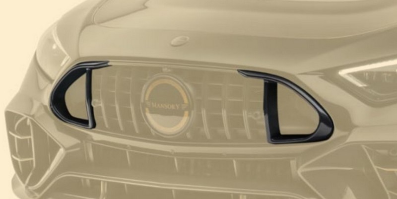 Mansory Air Intake for Front Mask for Mercedes Benz AMG SL63 - Image 2
