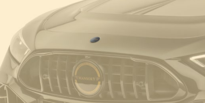 Mansory Front Bumper Emblem with Logo for Mercedes Benz AMG SL63 - Image 2