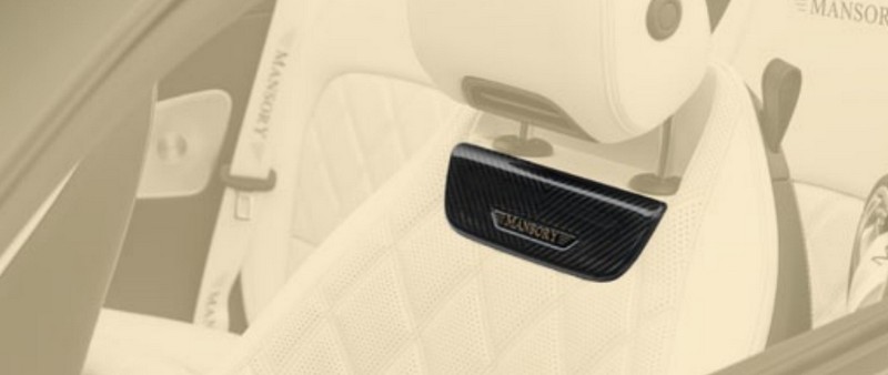 Seat Carbon Inlay for Seats for Mercedes Benz AMG SL63 - Image 2