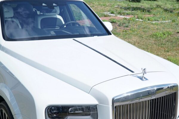 Mansory Front Grille Frame – Exposed Visible Carbon Fiber (Primed Without Clear Coat)